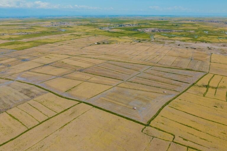 [PLACEHOLDER] Land for sale in Kyabigambire, Hoima
