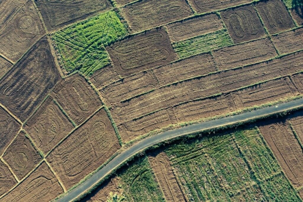 [PLACEHOLDER] Land for sale in Hoima, Hoima
