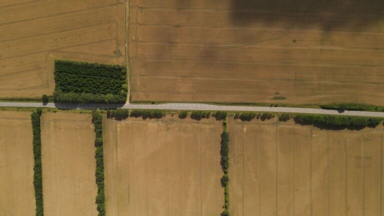 [PLACEHOLDER] Land for sale in Kajjansi, Wakiso, aerial view farmland