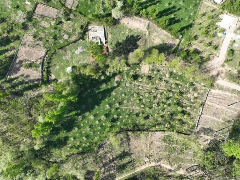 [PLACEHOLDER] Land for sale in Najjera, Wakiso, empty land plot grass trees
