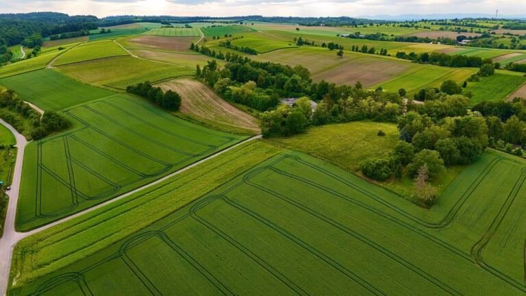 [PLACEHOLDER] Land for sale in Kajjansi, Wakiso