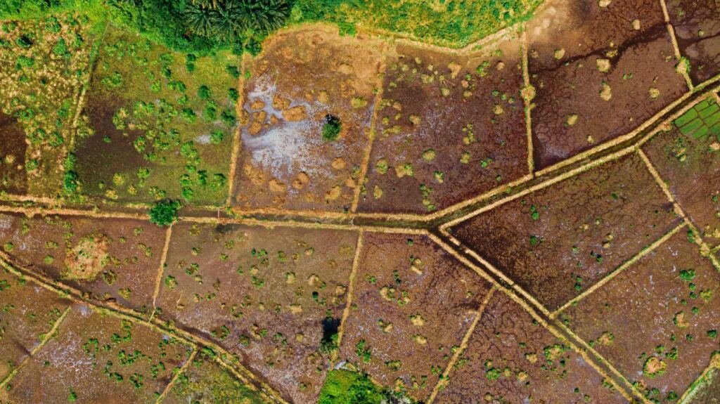 Aerial view of demarcated land plots divided by footpaths in Uganda