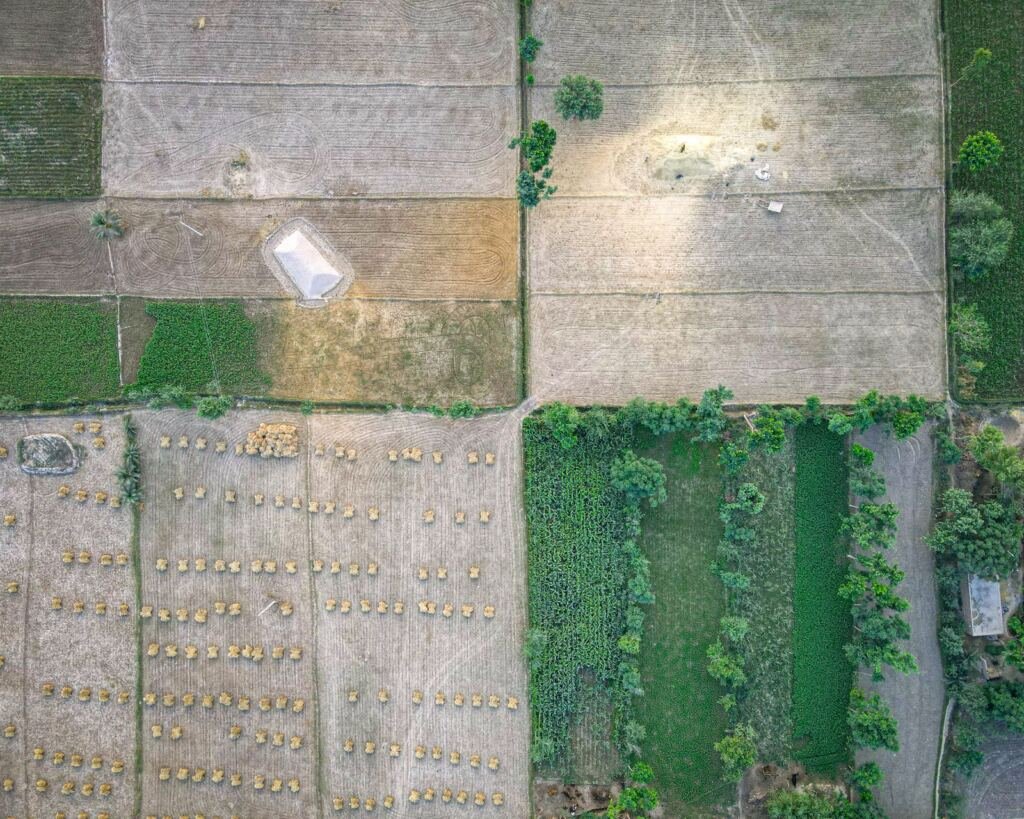 Aerial view of farmland plots in Uganda, the kind of land a title search protects