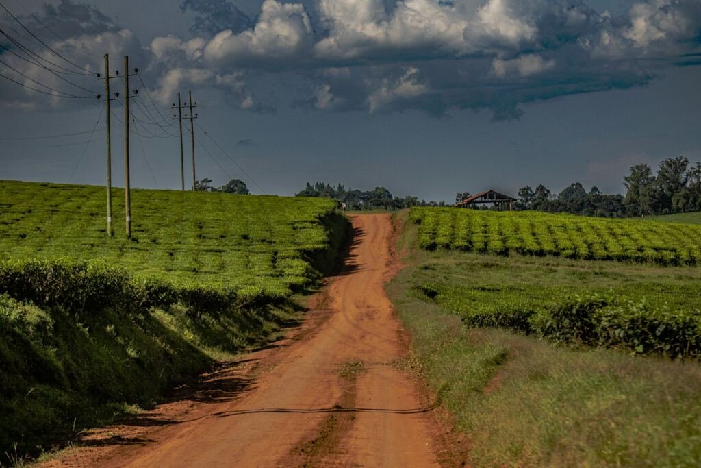 A red murram road through green fields on rural land in Uganda