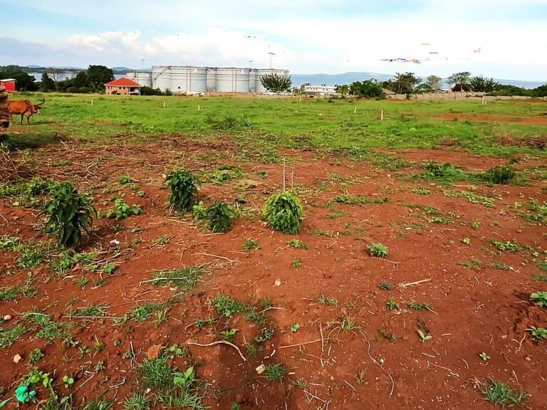 Land for sale in Bugiri, Wakiso: plots with the oil storage tanks in the distance