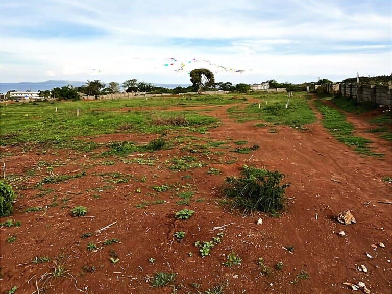 Land for sale in Bugiri, Wakiso: open land across the plots