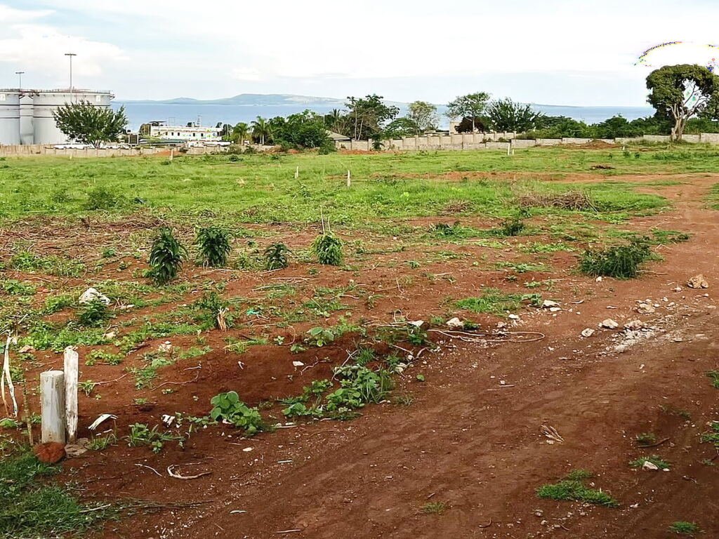 Land for sale in Bugiri, Wakiso: 50 by 100 plots with the lake and hills on the horizon