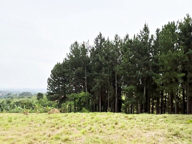 Land for sale in Bujumbura, Hoima City