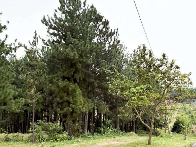 Land for sale in Bujumbura, Hoima City