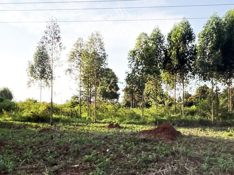 5 acres on Power Station Road in Bulemwa, Hoima