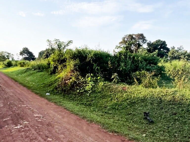 2 acres of land next to a primary school in Bulemwa, Hoima