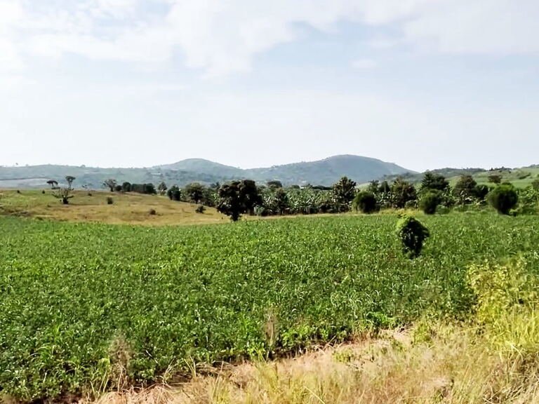 Land for sale in Hohwa, Hoima District