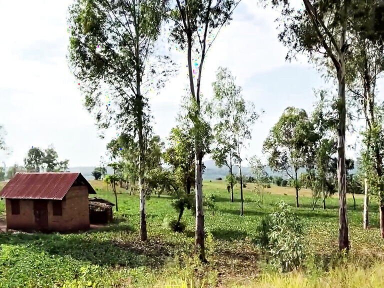 Land for sale in Hohwa, Hoima District