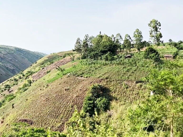 Land for sale in Hohwa, Hoima District