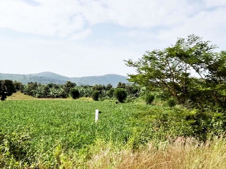Land for sale in Hohwa, Hoima District