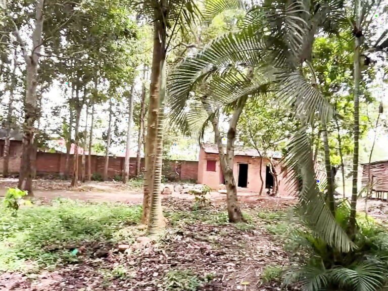 12 acres of land for sale in Kyarwabuyamba, Hoima
